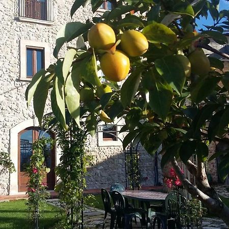 Alloggi Agrituristici Antica Dimora Villa San Demetrio ne' Vestini Екстериор снимка