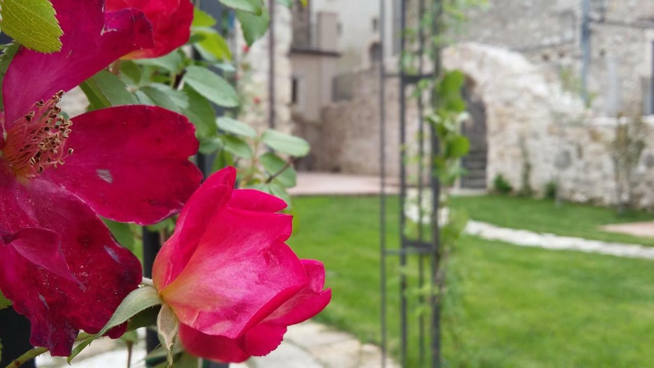 Alloggi Agrituristici Antica Dimora Villa San Demetrio ne' Vestini Екстериор снимка